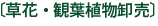 草花・観葉植物卸売
