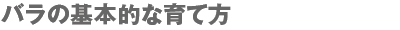 バラの基本的な育て方