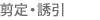 剪定・誘引