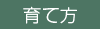 育て方