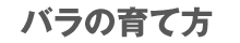 バラ百科