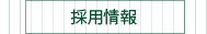 採用情報