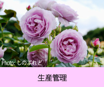 生産管理