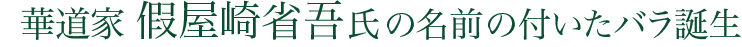華道家假屋崎省吾