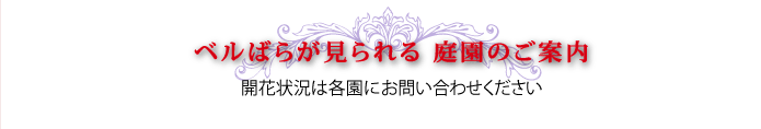 ベルばらが見られる庭園のご案内 開花状況は各園にお問い合わせください。