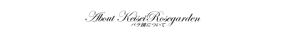 バラ園について