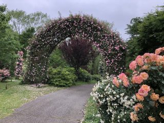 フランソワ ジュランビルのアーチ