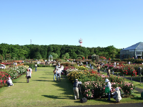 園内遠景３