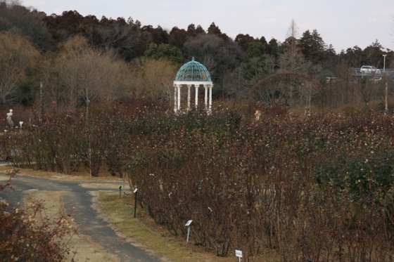 ローズガーデン全景