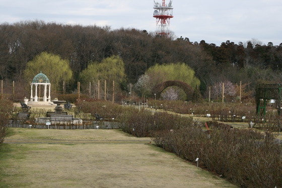 ローズガーデン全景