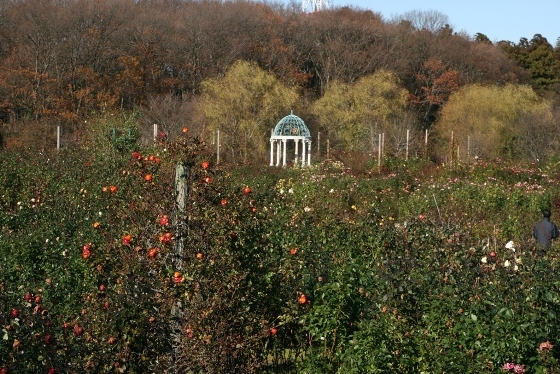 101223_rg01_053.JPG