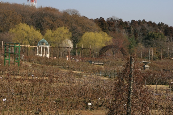 110329_rg01_011.JPG