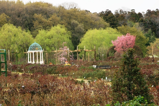 110410_rg01_65.JPG