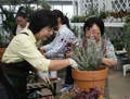 寄せ植え
