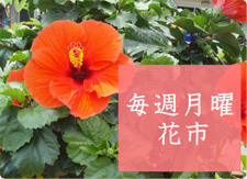 月曜花市