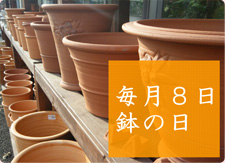 鉢の日　毎月8日