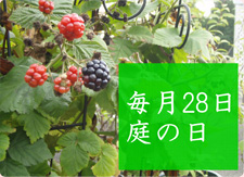 庭の日　毎月28日