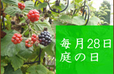 庭の日