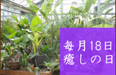 いやしの日