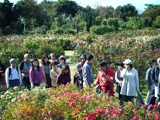 大川原清光によるガイドツアー