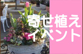 寄せ植えイベント