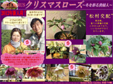 クリスマスローズ入荷情報