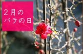 2月のバラの日