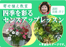 2012春夏 寄せ植え教室「四季を彩るセンスアップレッスン」