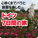 モナコ国際バラコンクールで入賞