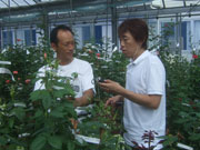 TOKYO FM�@�u�t�����e�B�A�[�Y �` �����ւ̒���v