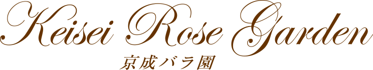Keisei Rose Garden 京成バラ園