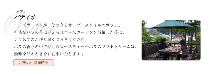 パティオ