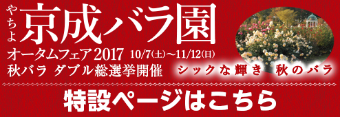 オータムフェア2017特設ページはこちら