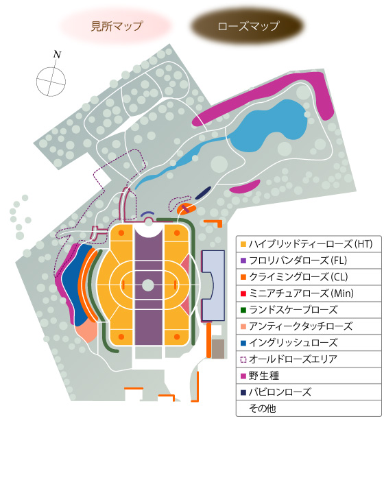 ローズマップ