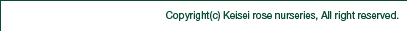 copyright