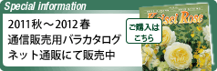 2011カタログ ネット通販にて販売中
