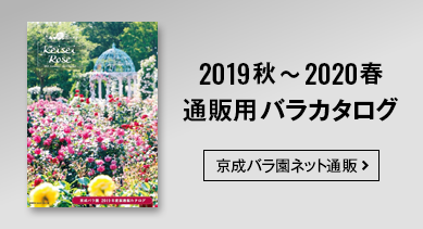 通信販売用バラカタログ