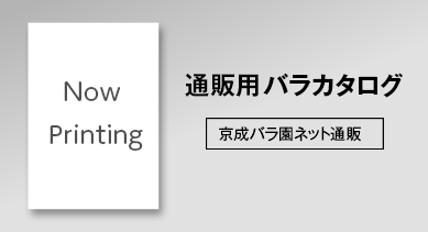 通信販売用バラカタログ