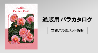 通信販売用バラカタログ