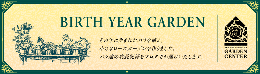 Birth Year Garden