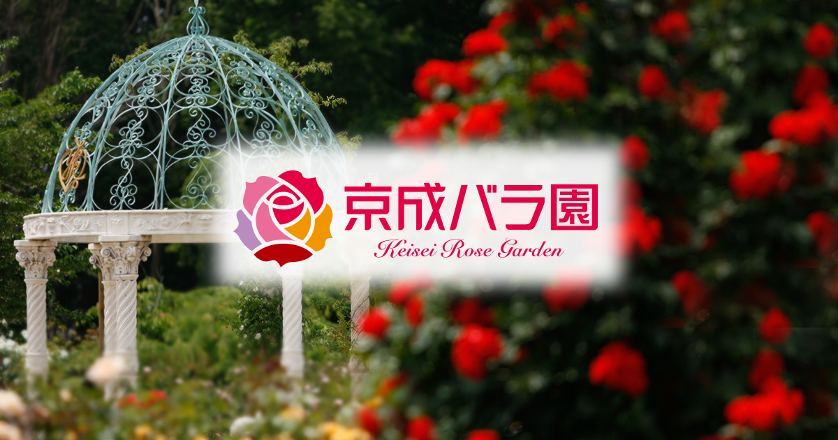 1 600品種 10 000株のバラが咲く 京成バラ園