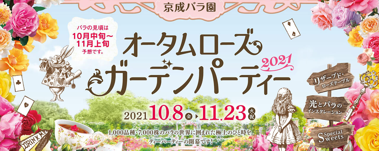 1 600品種 10 000株のバラが咲く 京成バラ園