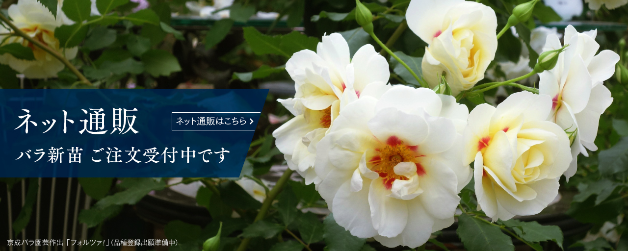 京成バラ園芸株式会社