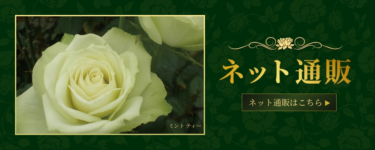 ご注文受付中