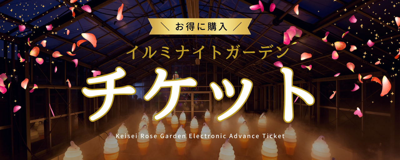 イルミナイトガーデンチケット2025