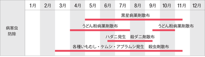 病害虫対策 基本的な育て方 バラの基本的な育て方 京成バラ園芸株式会社