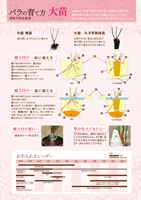 大苗