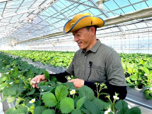 育種家としてバラの新種改良に携わってきた武内俊介