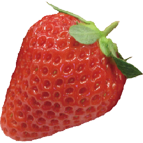 ベリーポップ すず