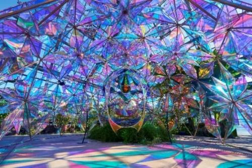 光とバラのインスタレーション